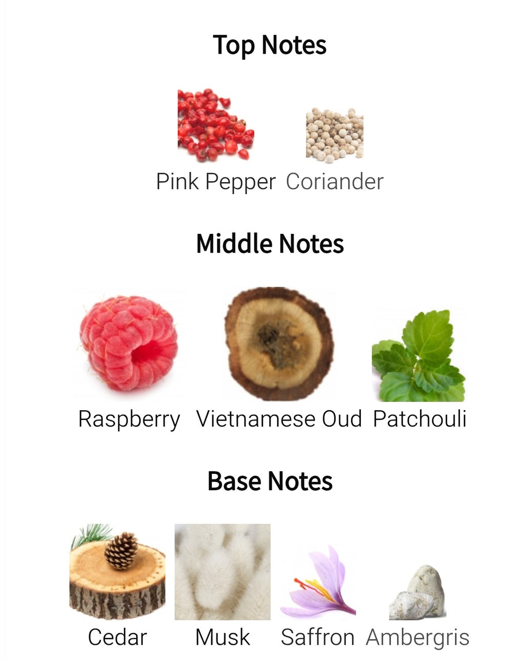 Midnight Raspberry Day Three | 2ML / 5ML / 10ML | Samples