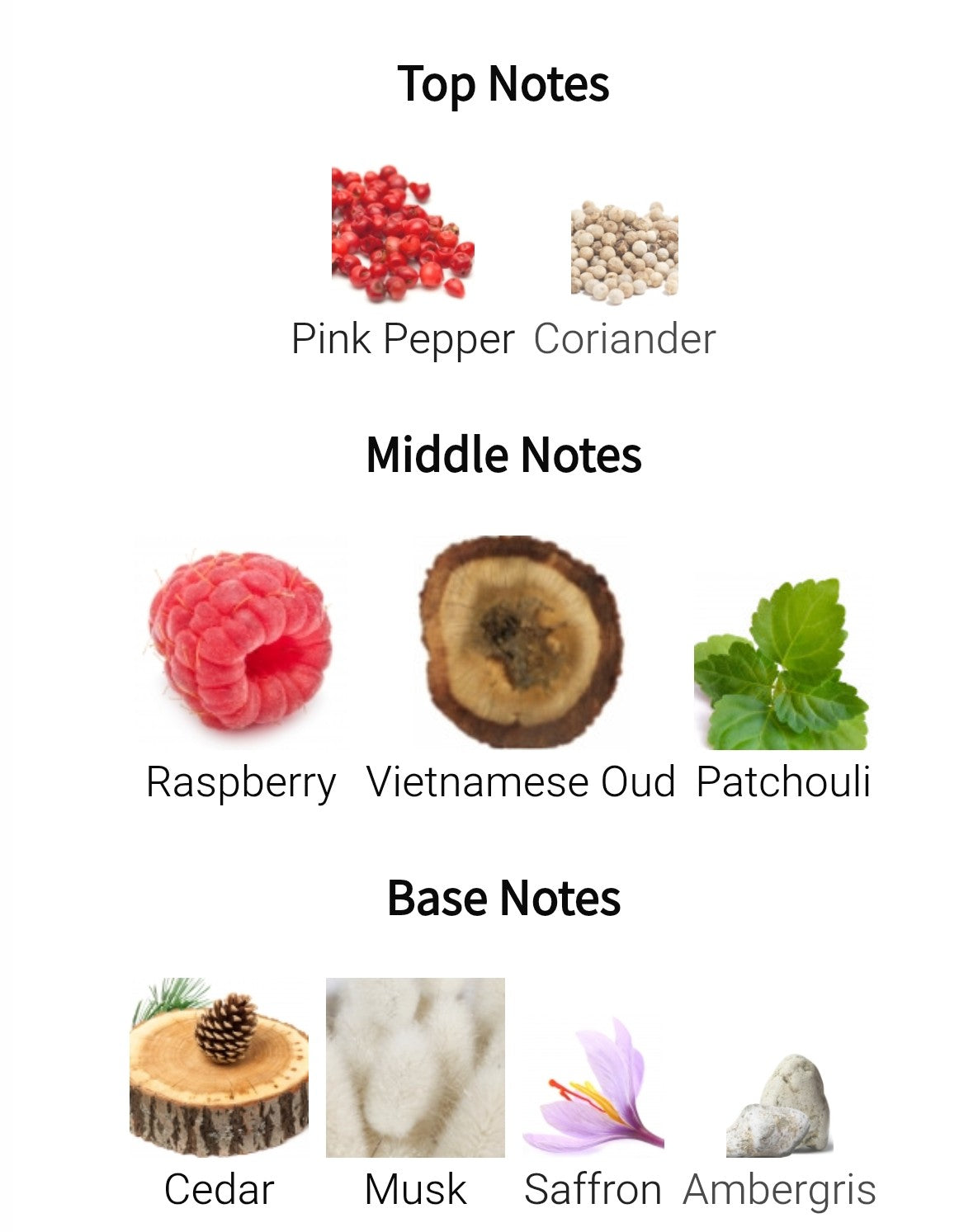 Midnight Raspberry Day Three | 2ML / 5ML / 10ML | Samples