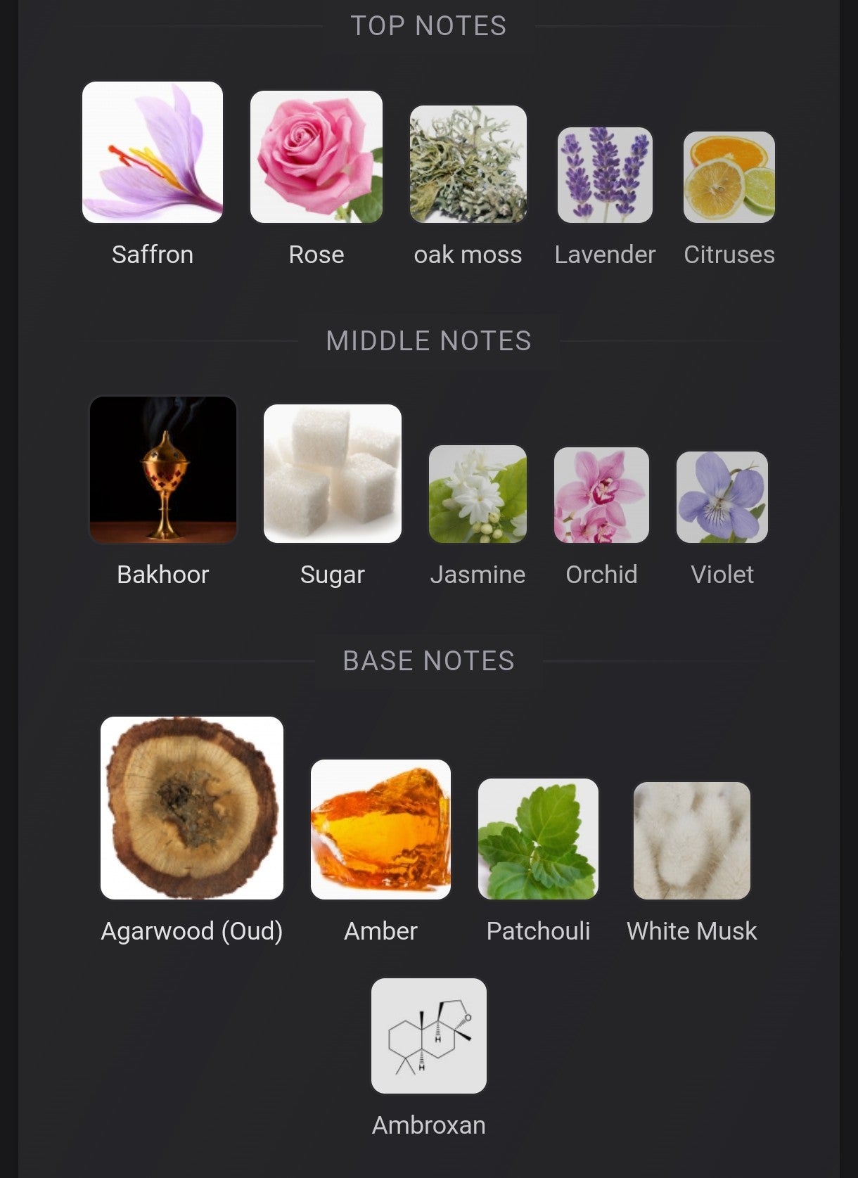 Ahmed Al Maghribi Bin Shaikh Extrait | 2ML / 5ML / 10ML | Samples